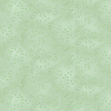 Celery Vines
